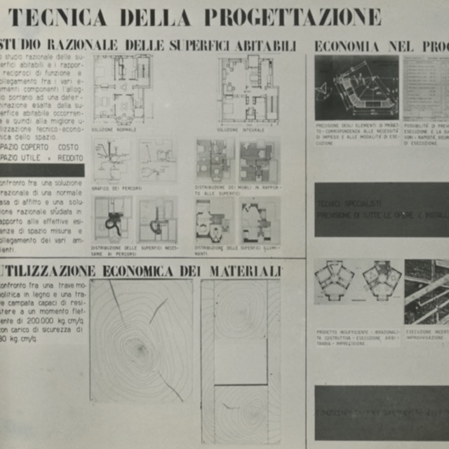 Studi e allestimento della mostra 